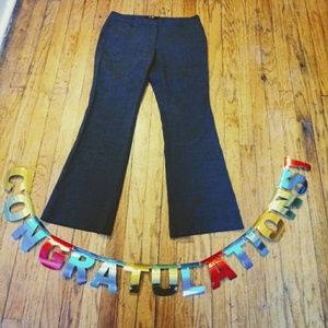 Dark Gray Body by Victoria Slacks